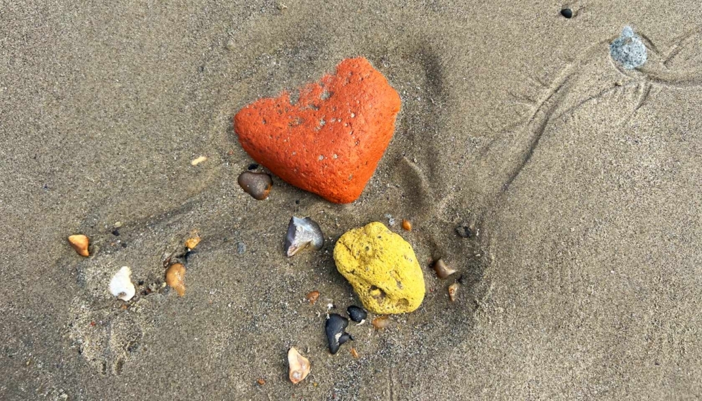 Colourful rocks embedded in wet sand